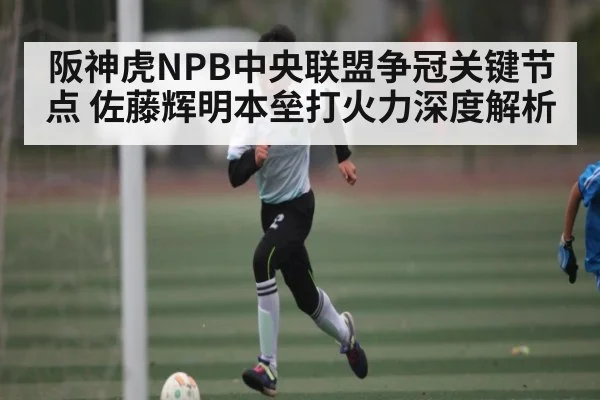 阪神虎NPB中央联盟争冠关键节点 佐藤辉明本垒打火力深度解析