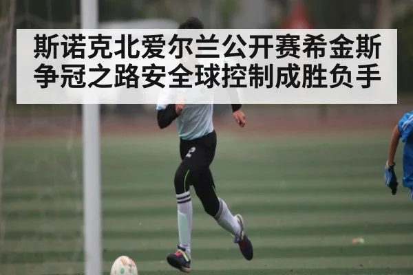 斯诺克北爱尔兰公开赛希金斯争冠之路安全球控制成胜负手 - c7c7.vip，c7c7.app